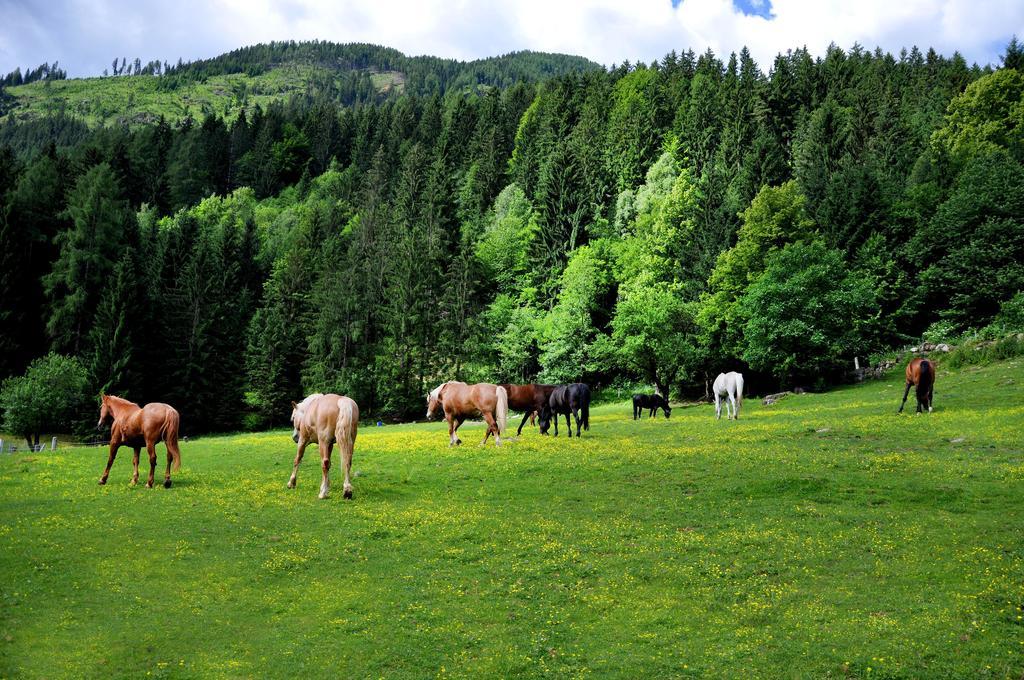 Raderhof Villa Feld am See Eksteriør billede